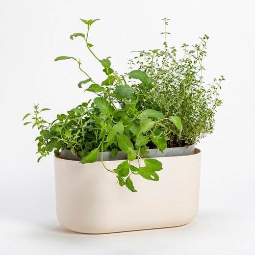 Plastia Samozavlažovací truhlík Tolita béžová, 31 x 16 cm