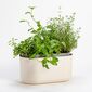 Jardinieră cu auto-irigare Plastia, bej,31 x 16 cm