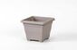 Plastia Virágcserép Begónia 60 x 60, világosszürke