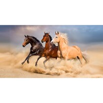BedTex Osuška Divé kone v púšti, 70 x 140 cm
