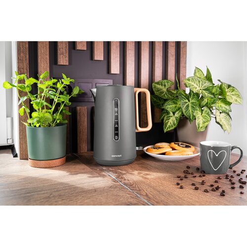 Concept RK3370 ceainic electric din oțelinoxidabil Modern, 1,7 l