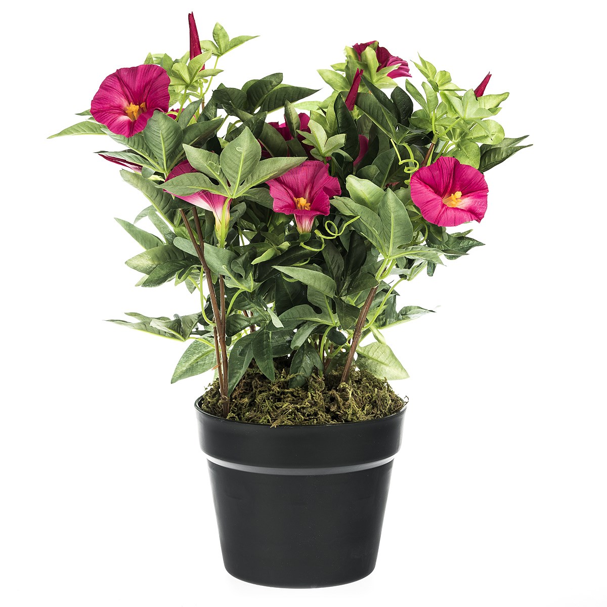 Umelý Povojník purpurový červená, 54 cm