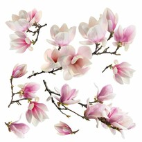 Samolepiaca dekorácia Magnolia blossom, 30 x 30 cm