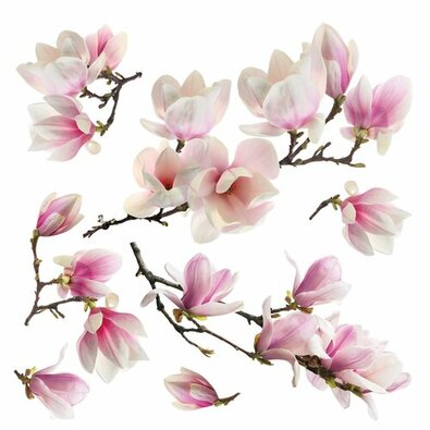 Samolepilna dekoracija Magnolia blossom, 30 x 30cm