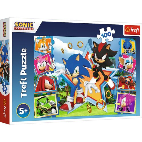 Trefl Puzzle Sonic Lernt den Igel kennen, 100 Teile