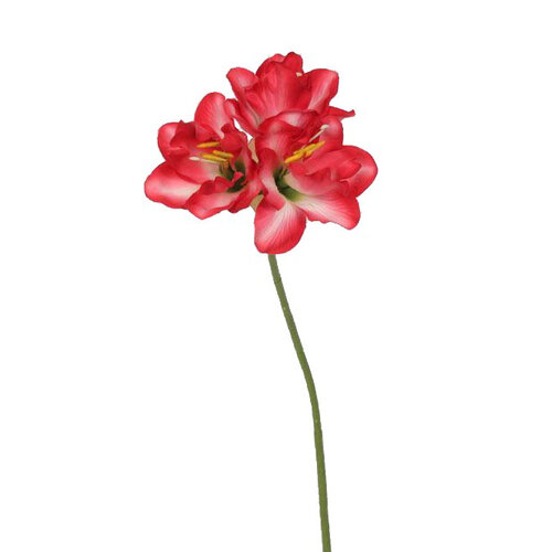 Mű amarilisz, piros, 54 cm