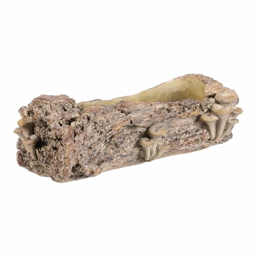 Opakowanie betonowe - skrzynka, drewno z grzybami, 49 x 21 x 15 cm