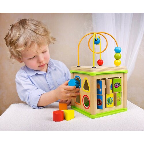 Bino Motorik kock 5v1