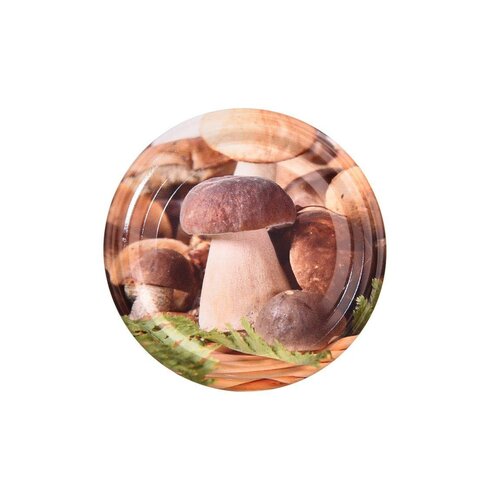 Orion Gombák 10 db-os csavaros fedél szett 7 cm