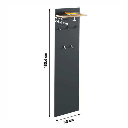 Panou cu cuier RIOMA TIP 19, grafit/stejar artisan