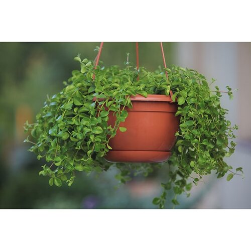 Doniczka plastikowa Malta 21 cm, zielony