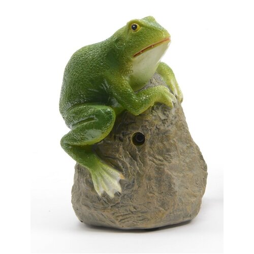 Kvákající žába na kameni