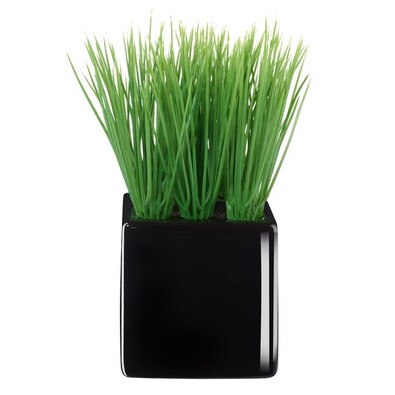 ASA Selection sztuczny kwiat w doniczce grass 11742