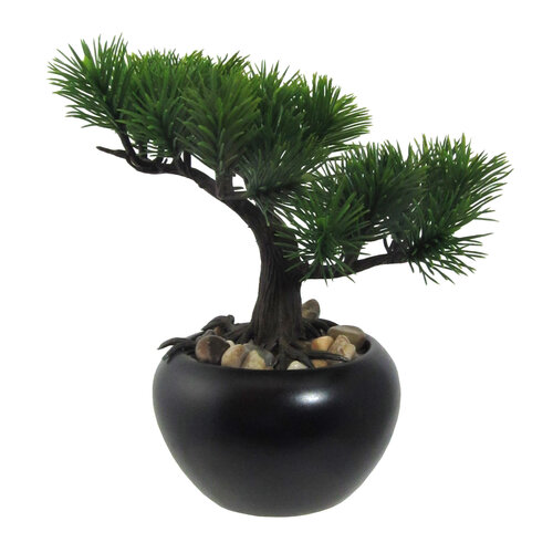 Mű bonsai Fenyő  virágcserépben, zöld, 19cm