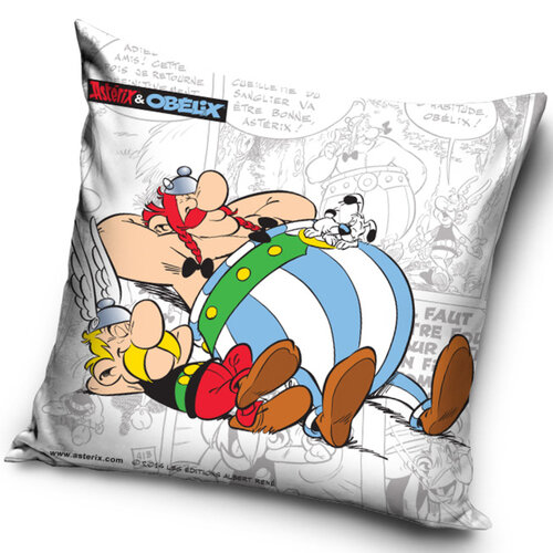 Polštářek Asterix a Obelix Relax, 40 x 40 cm,