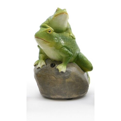 Kvákající žáby na kameni