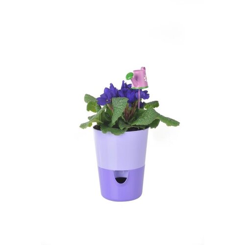 Plastia Samozavlažovací květináč Rosmarin, fialová