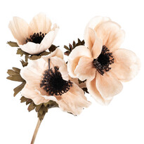 Künstliche Blume Anemone Creme, 3 Blüten, 56 x 17 cm