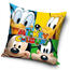 Poszewka na poduszkę Disney Gang, 40 x 40 cm