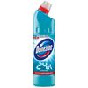 Domestos 24h Atlantic Fresh čistiace a dezinfekčnýprostedok 750 ml