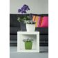 Kunststofftruhe Coubi Case mit Schale Graphit, Durchmesser 39 cm.