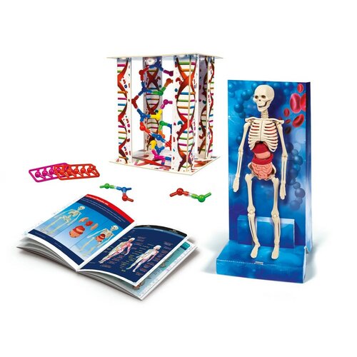 Clementoni Laboratorul copiilor - corpul uman