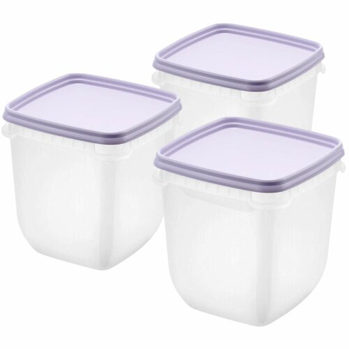 SmartStore Frischhaltedosen aus Kunststoff Freezer 3 Stück, Lavendel, 1000 ml