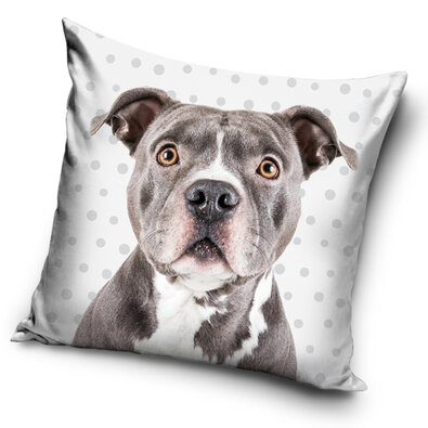 Față de pernă Pitbull poză, 40 x 40 cm