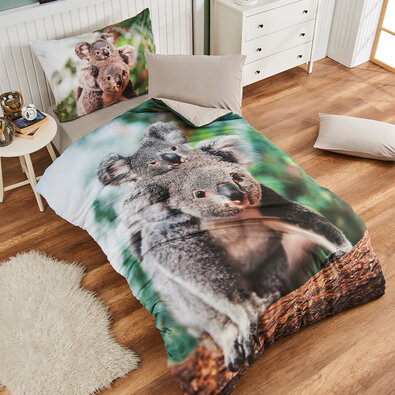 4Home Posteljnina Koala bear renforcé, 140 x 200cm, 70 x 90 cm