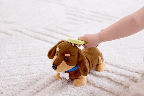 Set de veterinar - îngrijirea cățelușului Hape