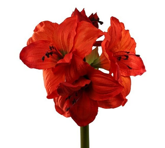 Umelá kvetina - Amarilis, hnedá