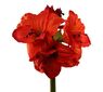 Umělá květina Amarilis tmavě červená